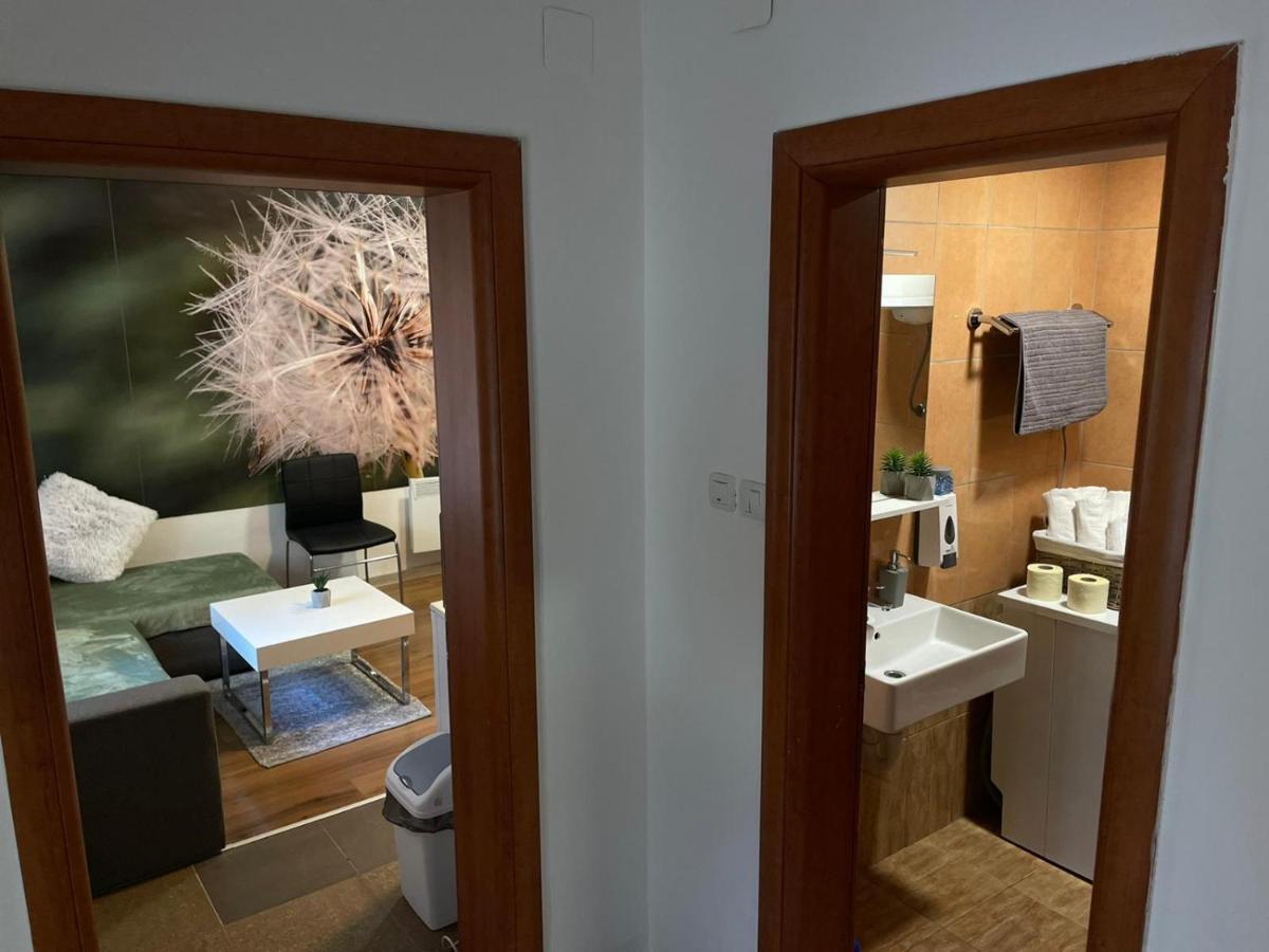 Cozy 1B Apartment Vera-Self Check In Zagabria Esterno foto